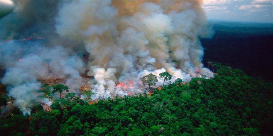 Δέσμευση από 100 χώρες να σταματήσουν την καταστροφή δασών